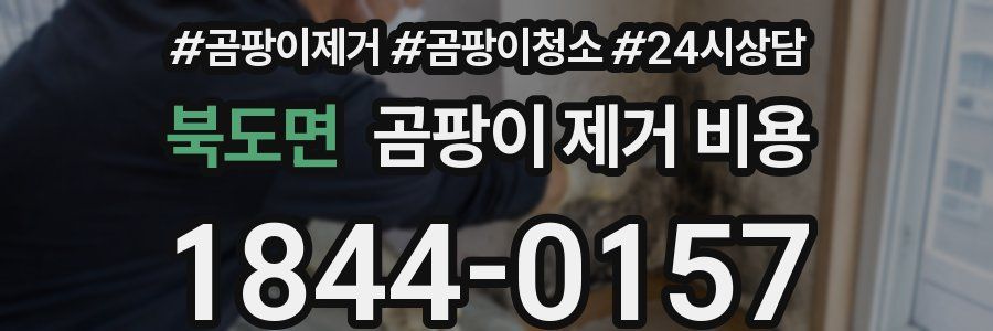 북도면 곰팡이 제거 비용