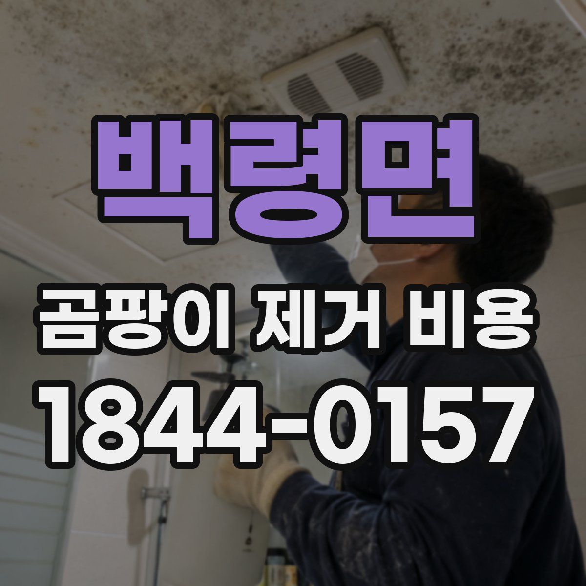 백령면 곰팡이 제거 비용