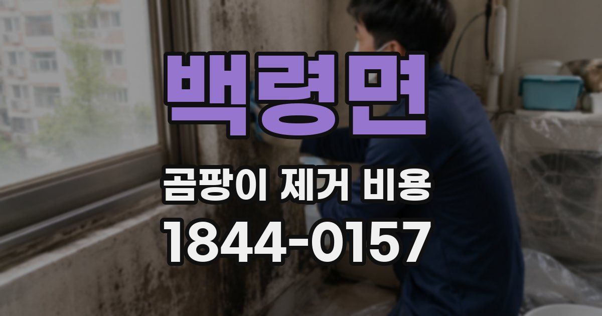백령면 곰팡이 제거 비용