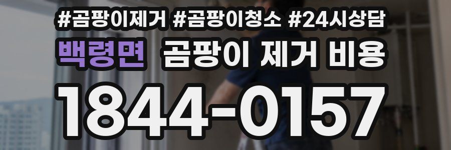백령면 곰팡이 제거 비용