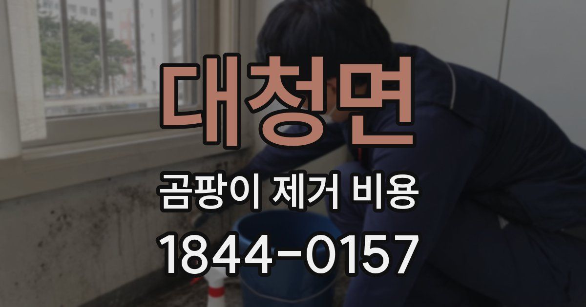 대청면 곰팡이 제거 비용