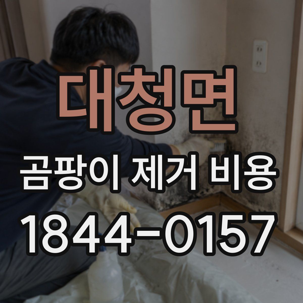 대청면 곰팡이 제거 비용