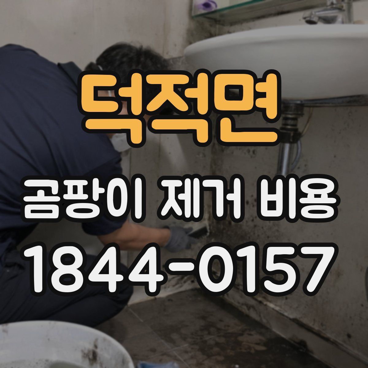 덕적면 곰팡이 제거 비용