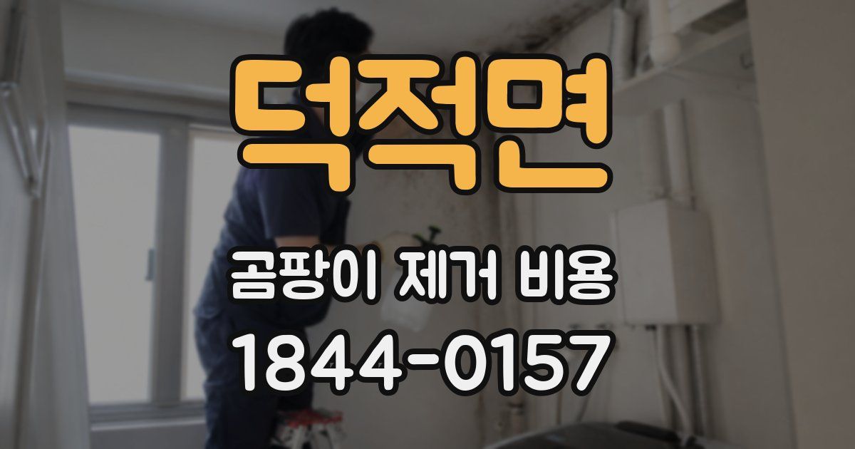 덕적면 곰팡이 제거 비용