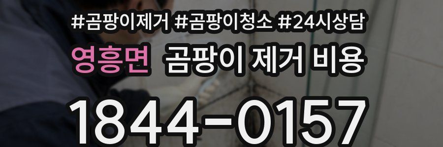 영흥면 곰팡이 제거 비용
