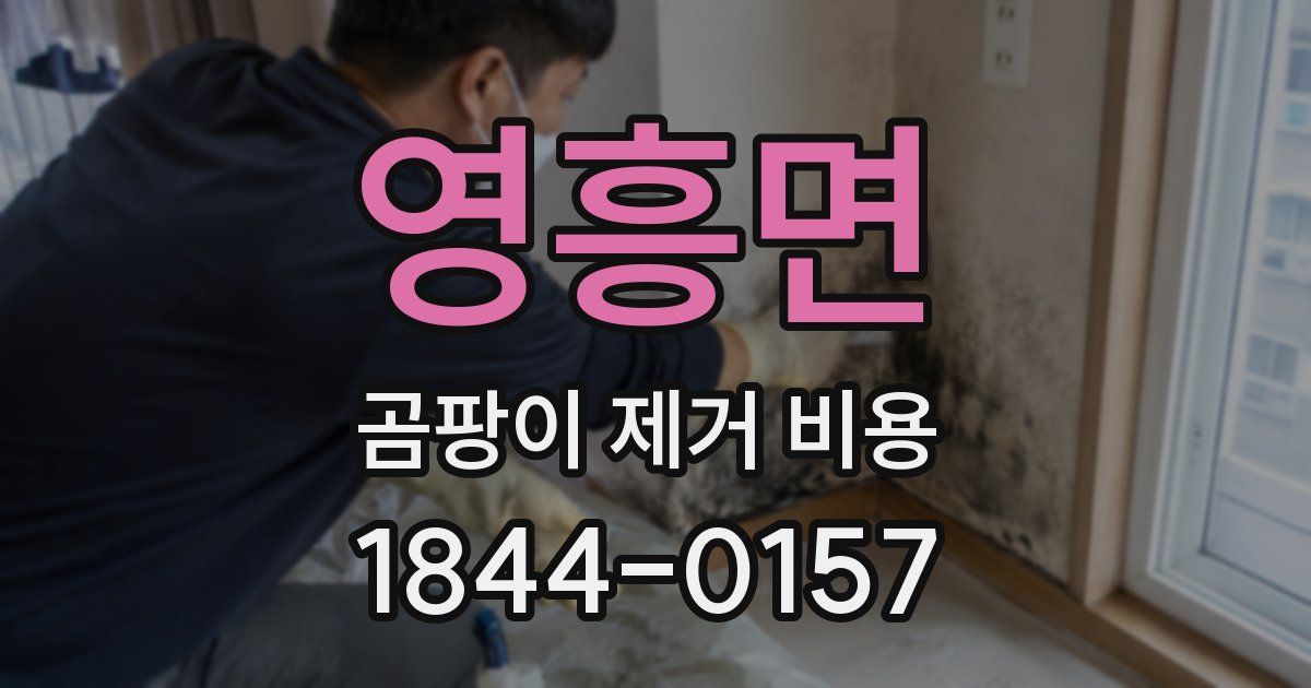 영흥면 곰팡이 제거 비용