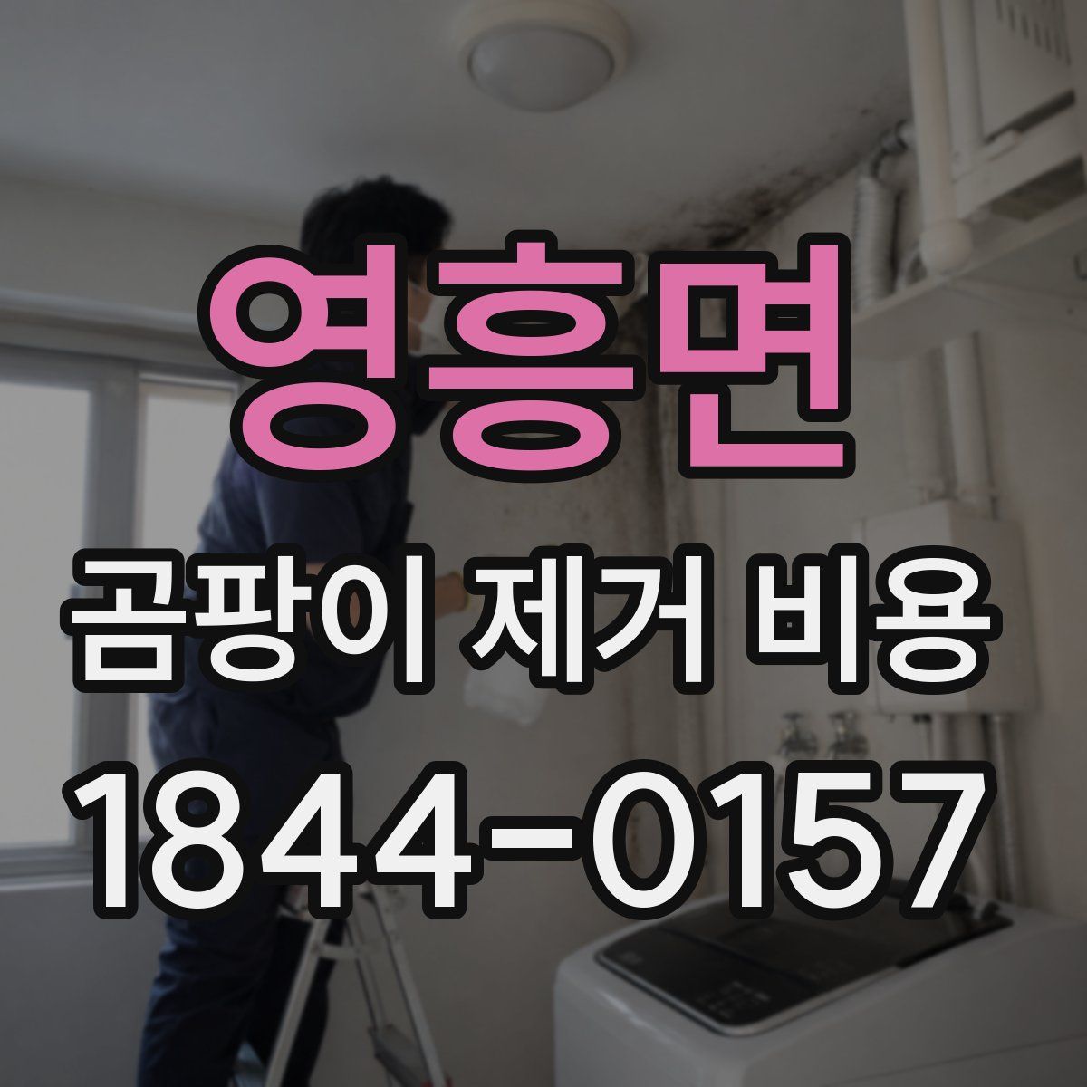 영흥면 곰팡이 제거 비용