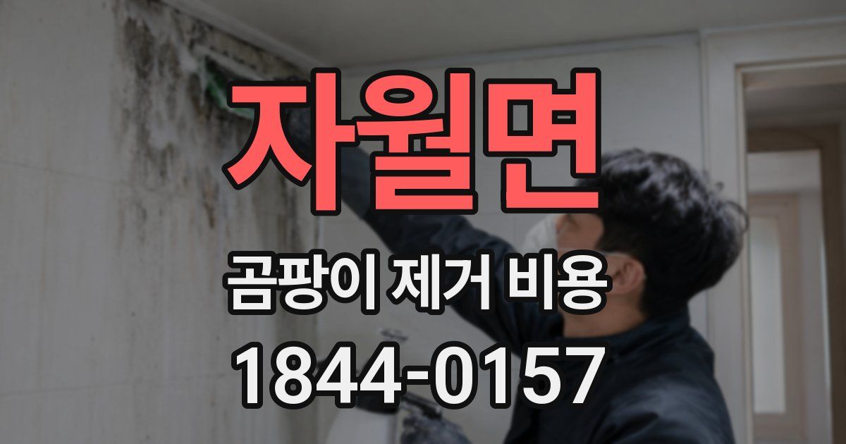 자월면 곰팡이 제거 비용