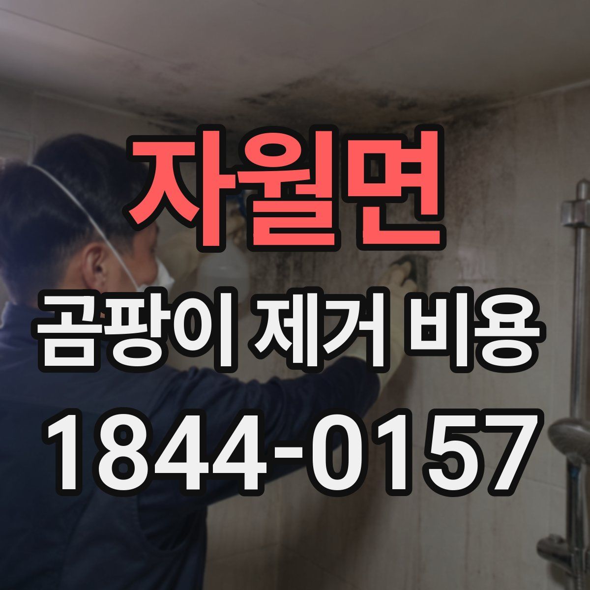 자월면 곰팡이 제거 비용
