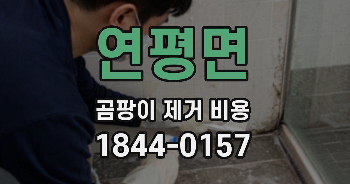 연평면 곰팡이 제거 비용