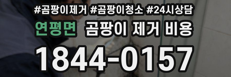 연평면 곰팡이 제거 비용