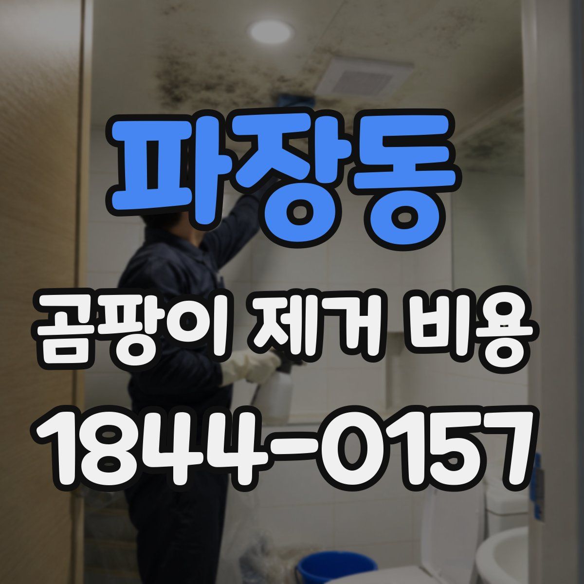 파장동 곰팡이 제거 비용