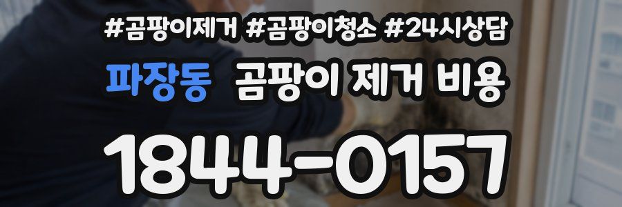 파장동 곰팡이 제거 비용