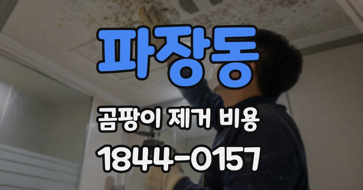 파장동 곰팡이 제거 비용