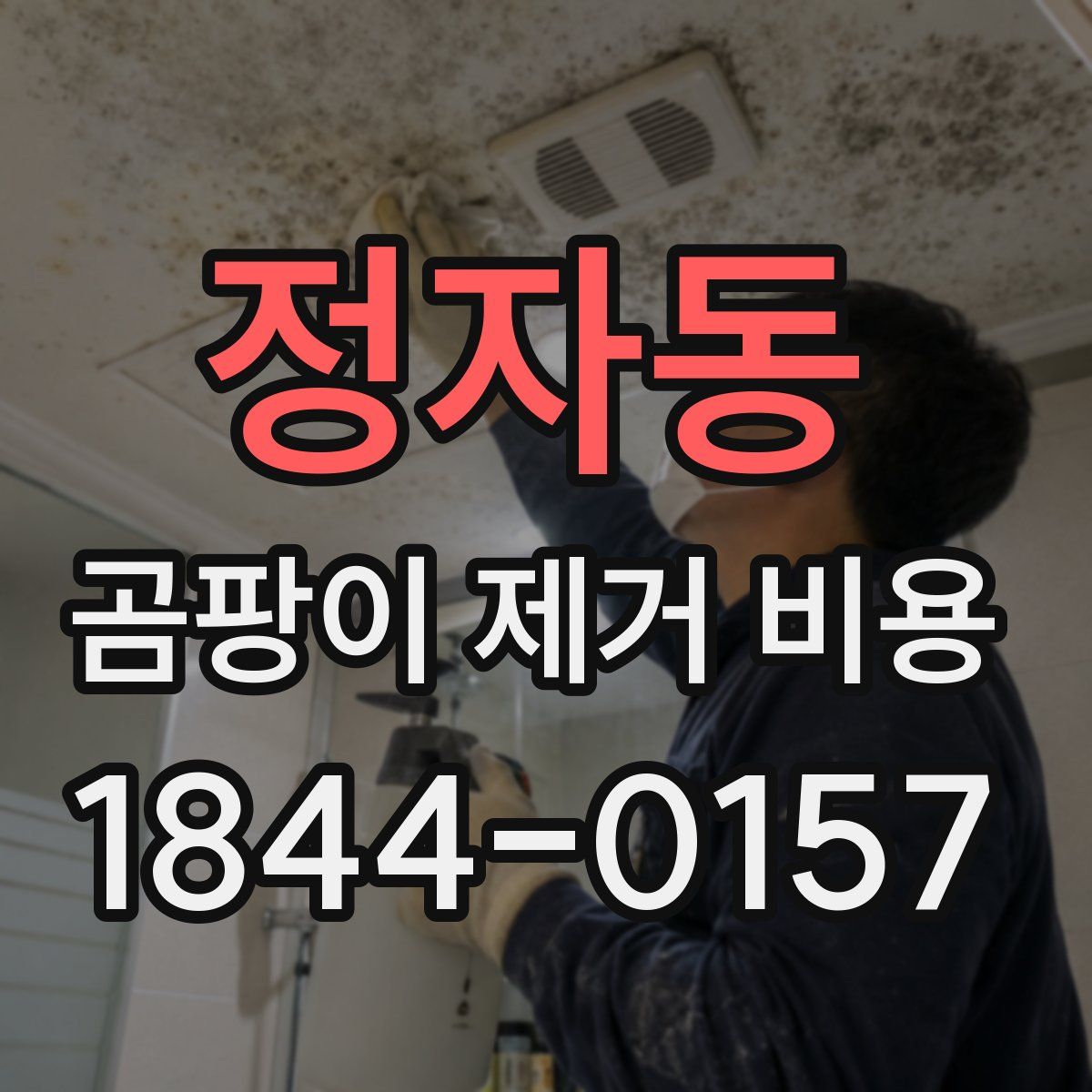 정자동 곰팡이 제거 비용