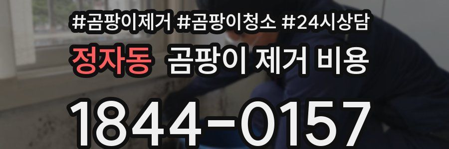 정자동 곰팡이 제거 비용