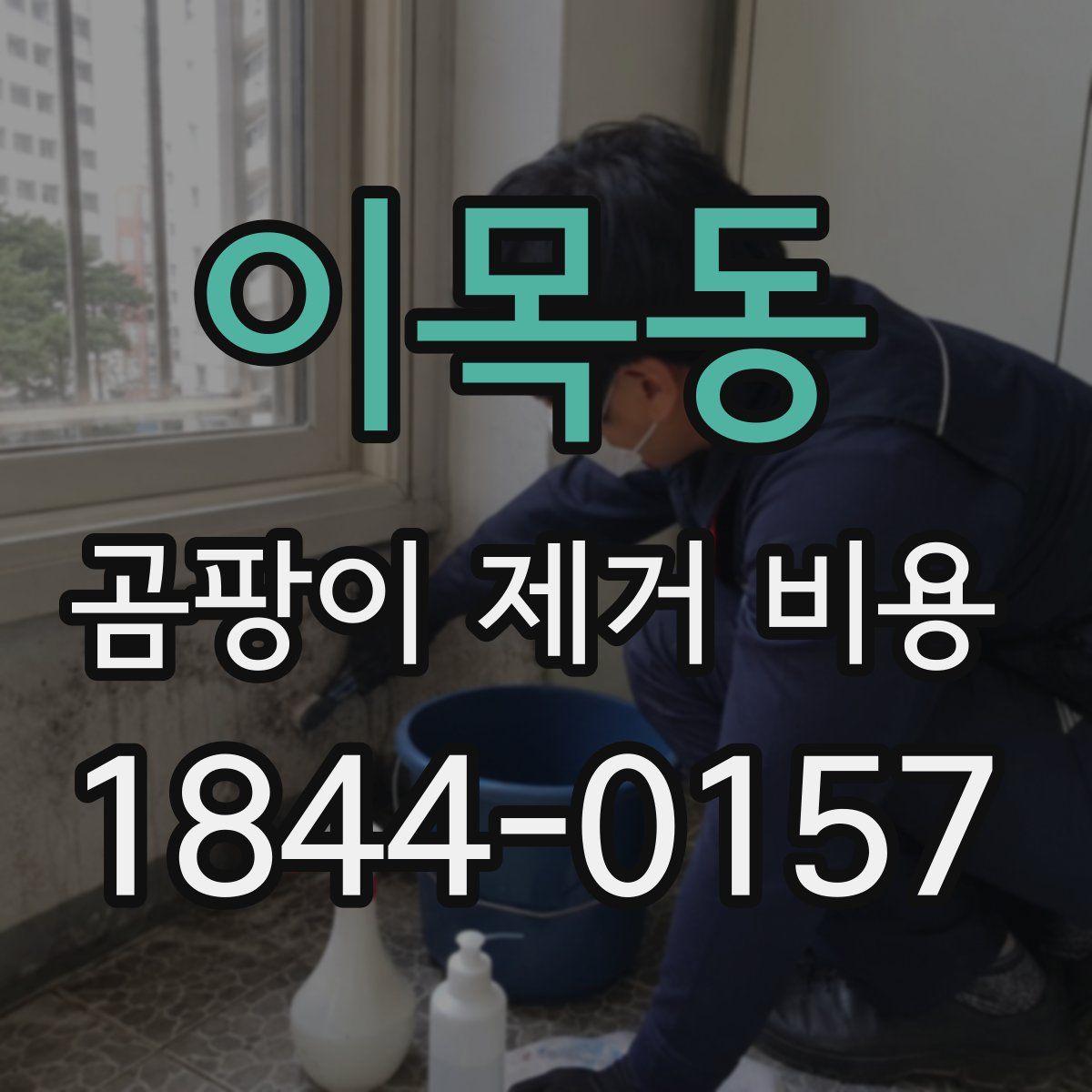 이목동 곰팡이 제거 비용