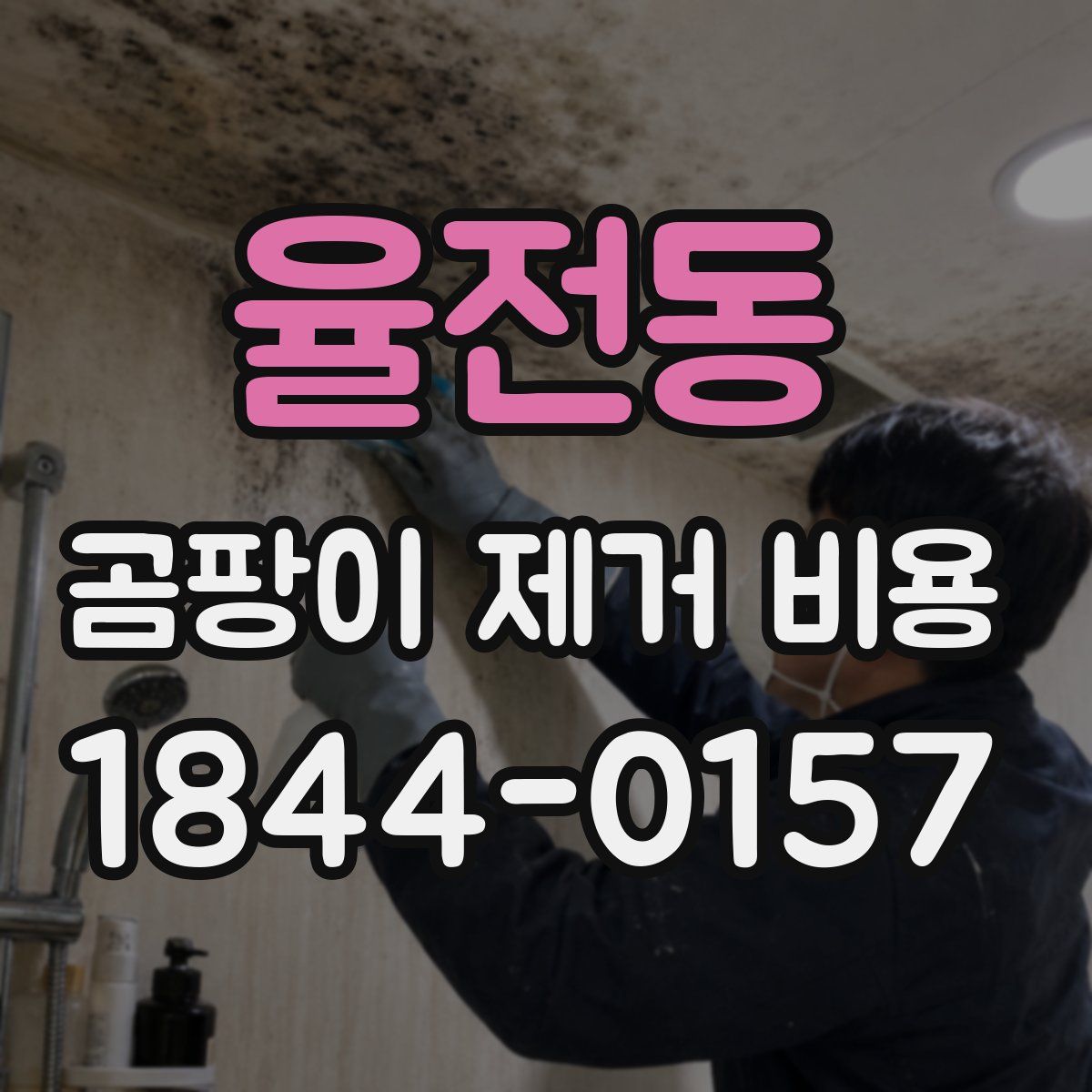 율전동 곰팡이 제거 비용