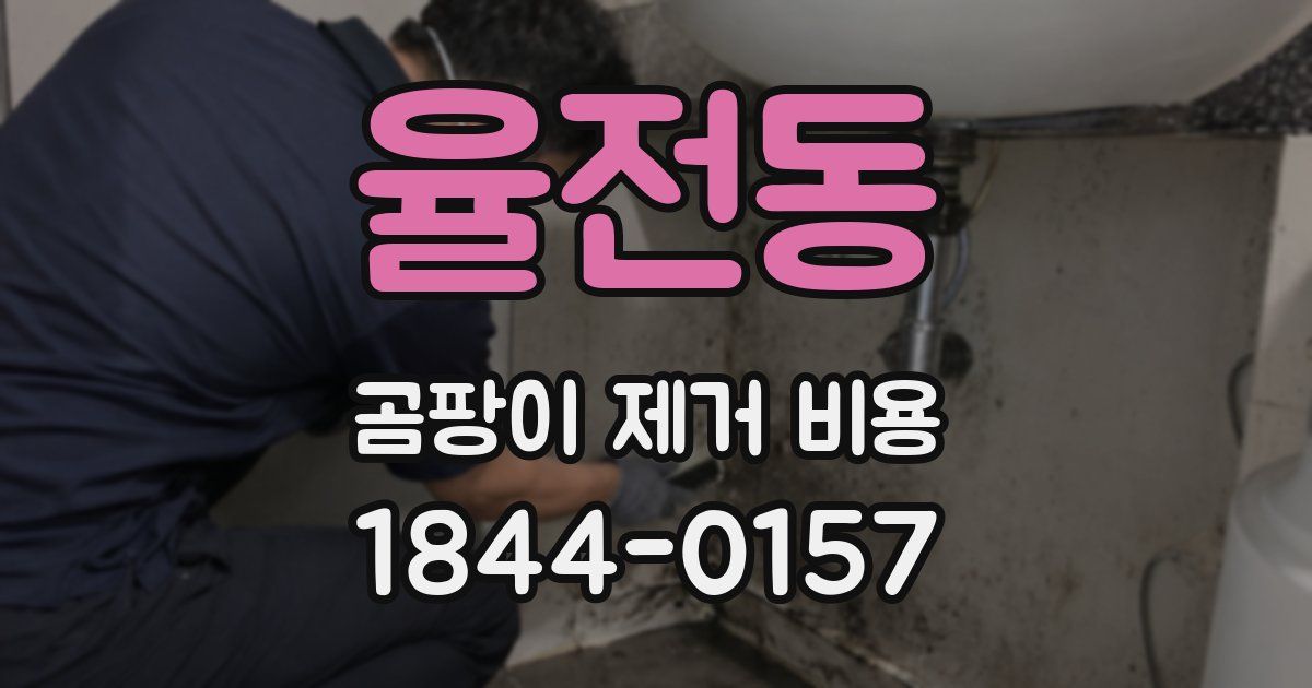 율전동 곰팡이 제거 비용