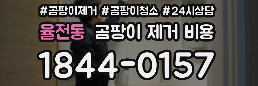 율전동 곰팡이 제거 비용