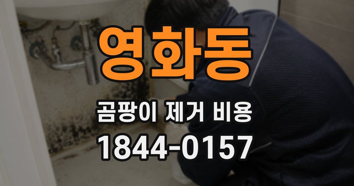 영화동 곰팡이 제거 비용