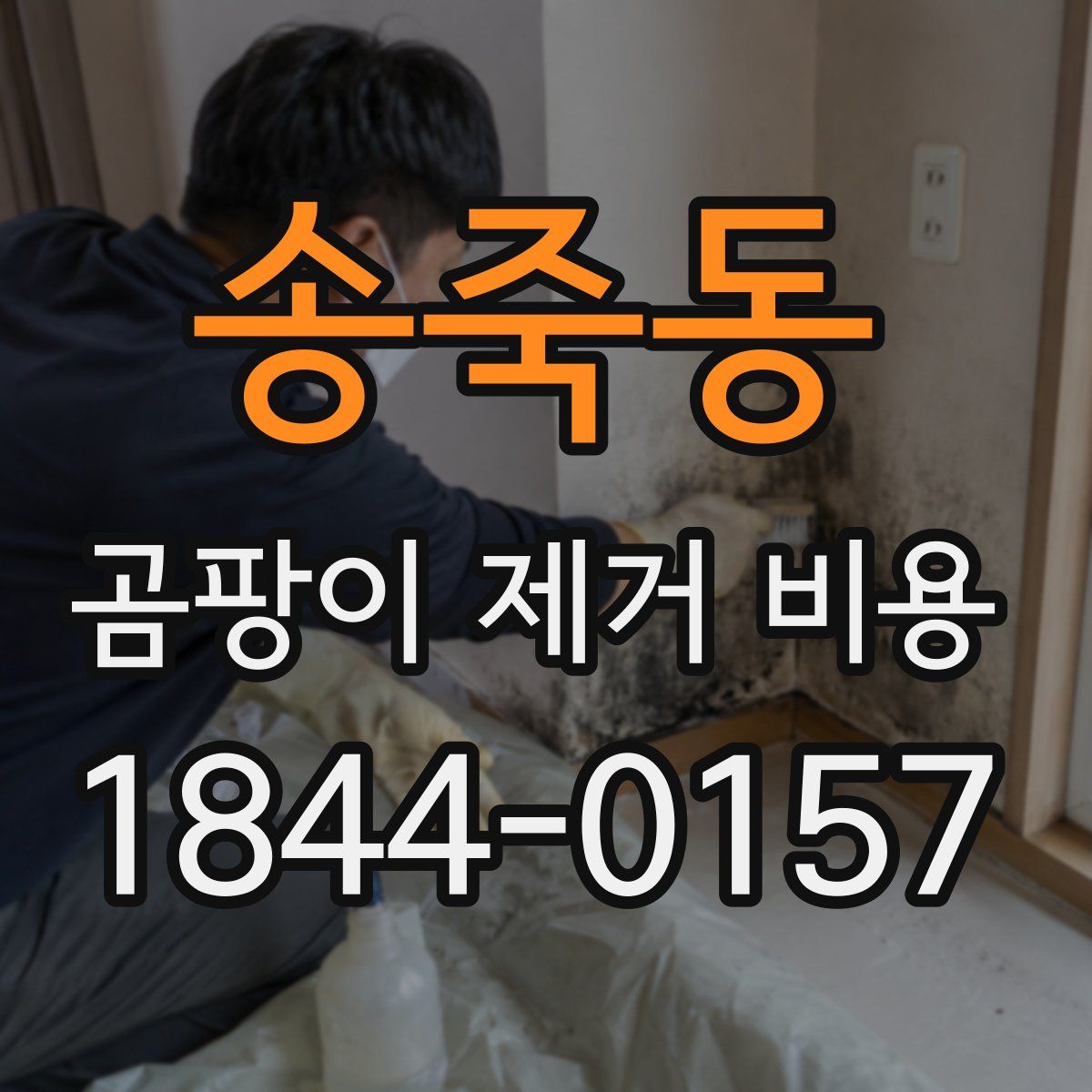 송죽동 곰팡이 제거 비용