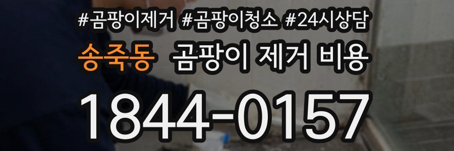 송죽동 곰팡이 제거 비용