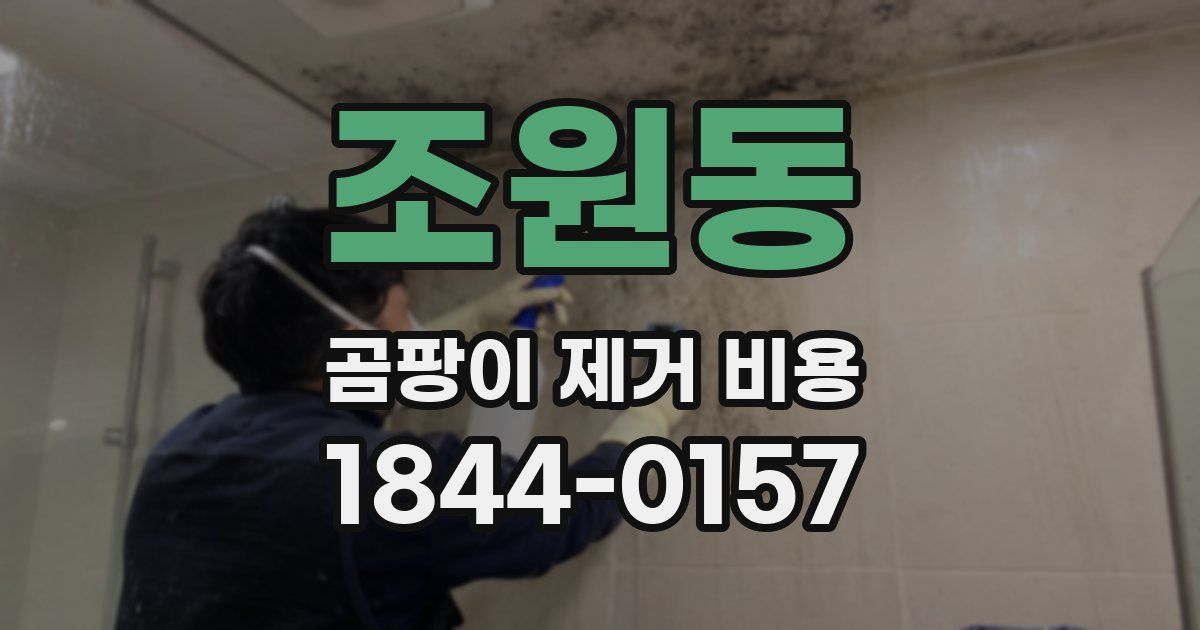 조원동 곰팡이 제거 비용