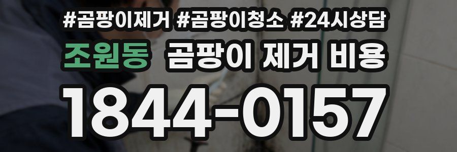 조원동 곰팡이 제거 비용