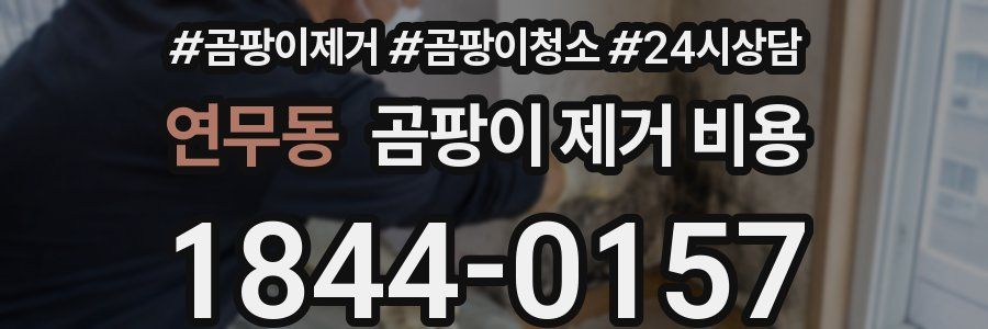 연무동 곰팡이 제거 비용