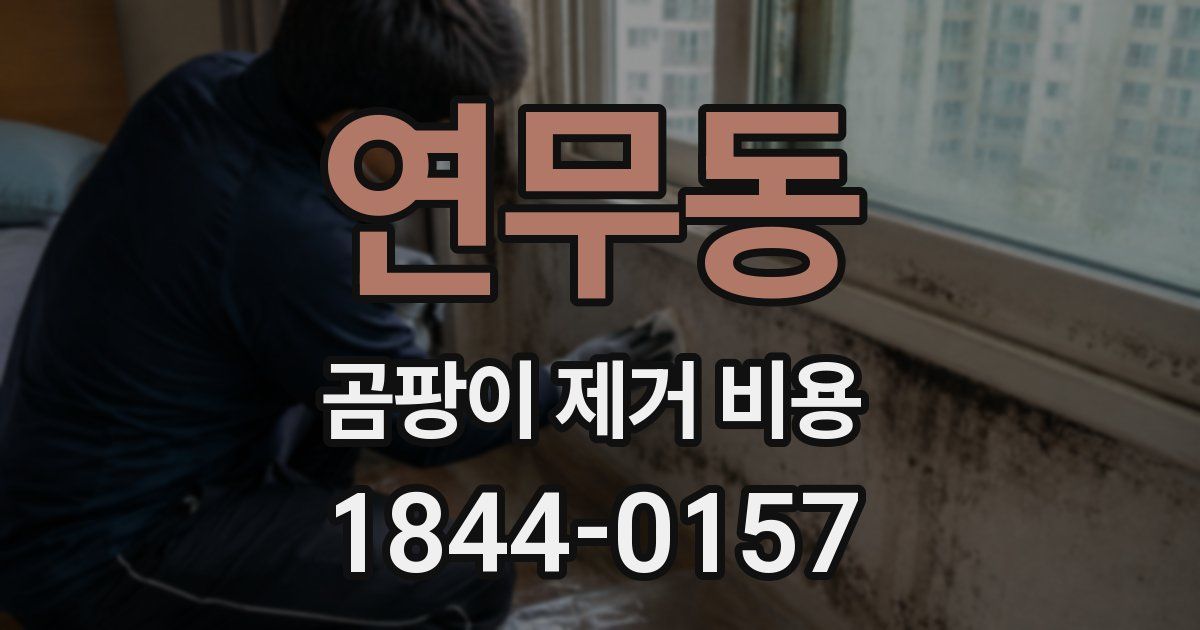 연무동 곰팡이 제거 비용