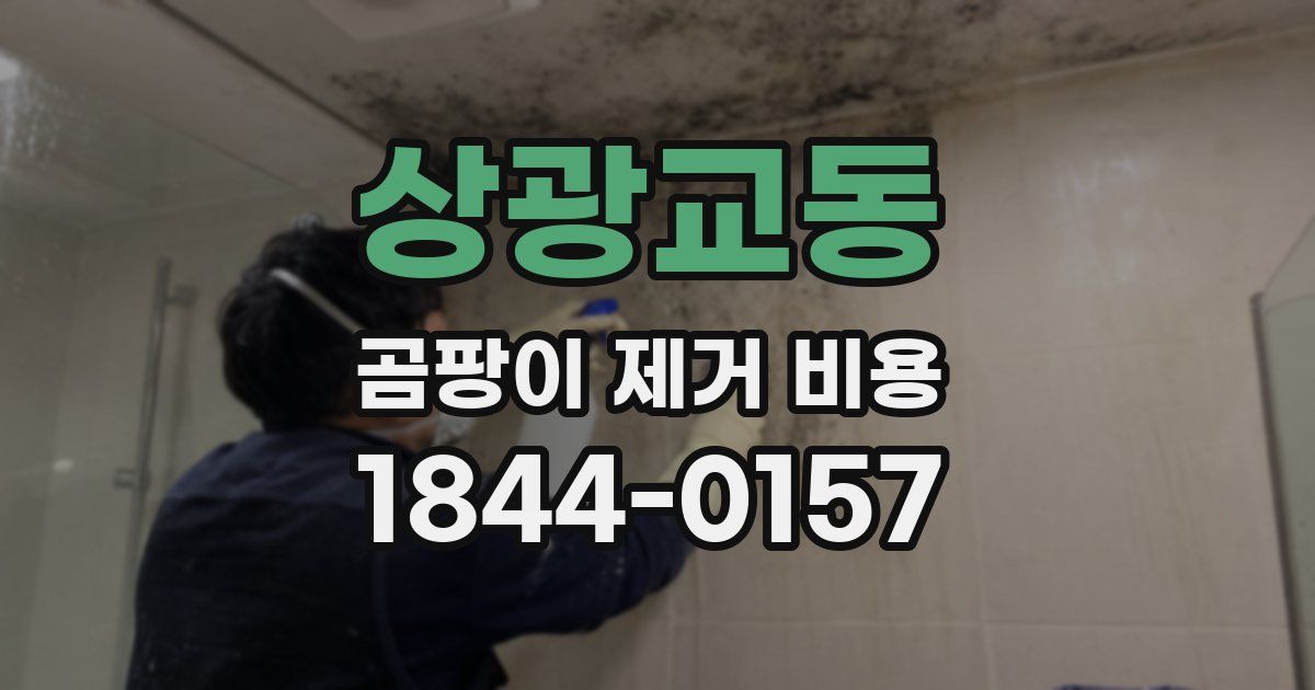 상광교동 곰팡이 제거 비용