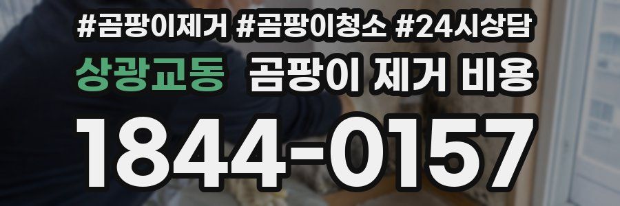 상광교동 곰팡이 제거 비용