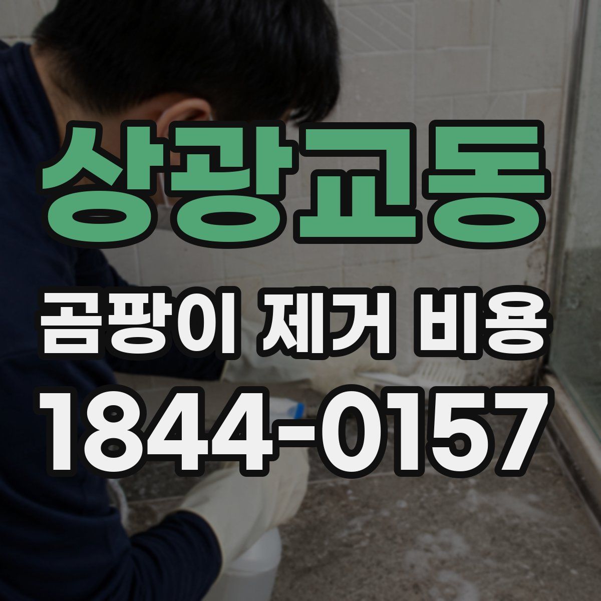 상광교동 곰팡이 제거 비용