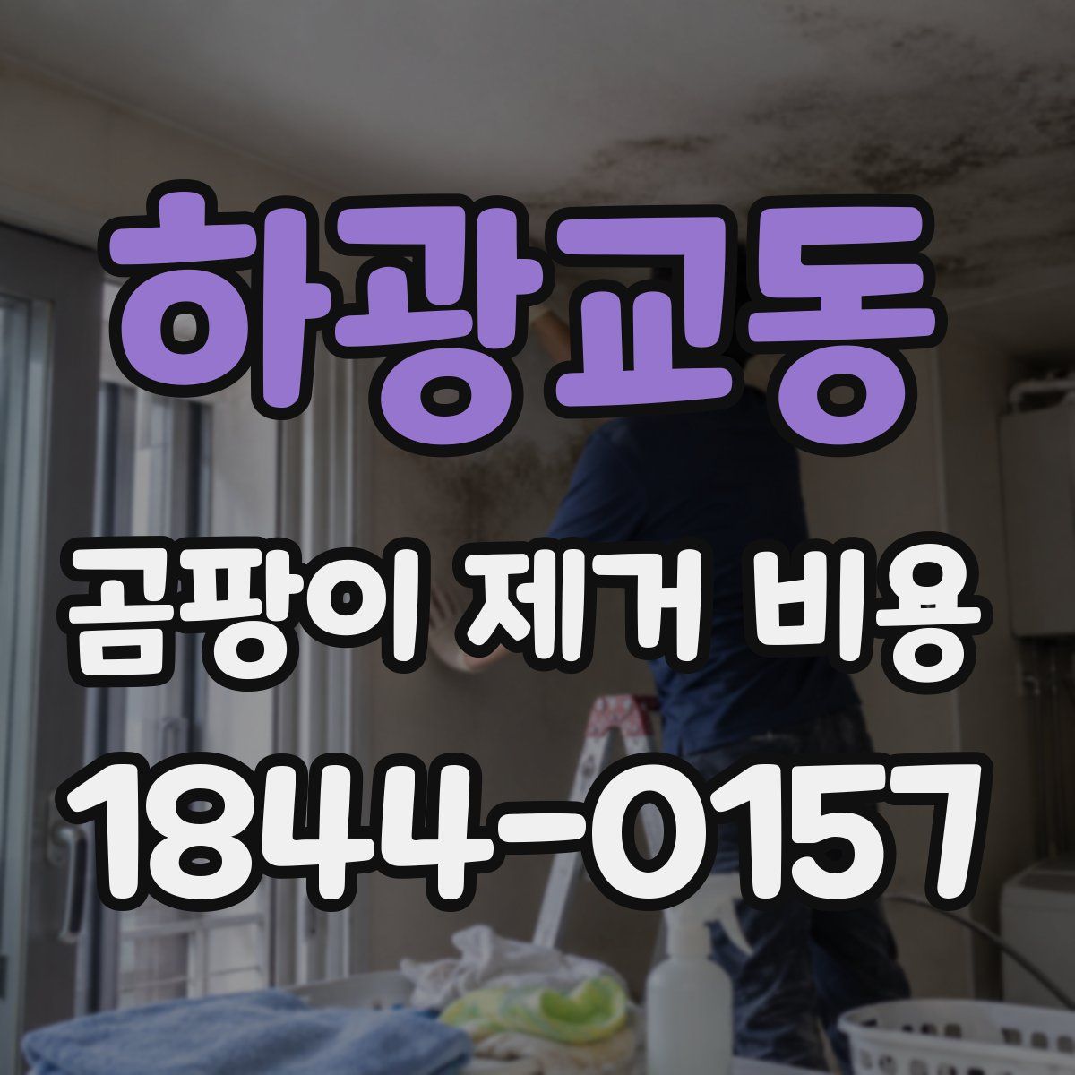 하광교동 곰팡이 제거 비용