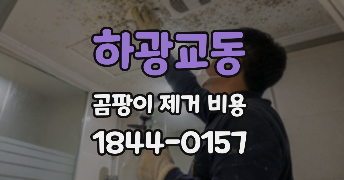 하광교동 곰팡이 제거 비용