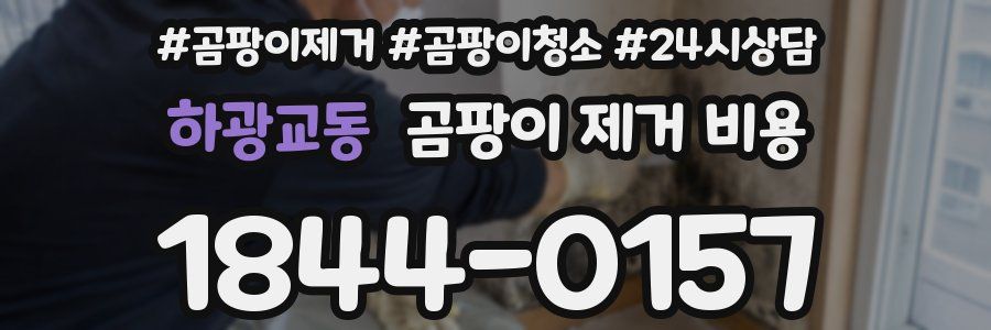 하광교동 곰팡이 제거 비용