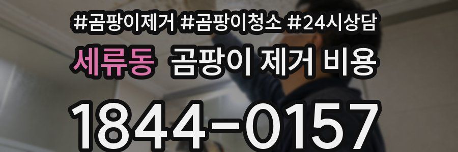 세류동 곰팡이 제거 비용