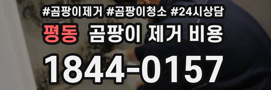 평동 곰팡이 제거 비용