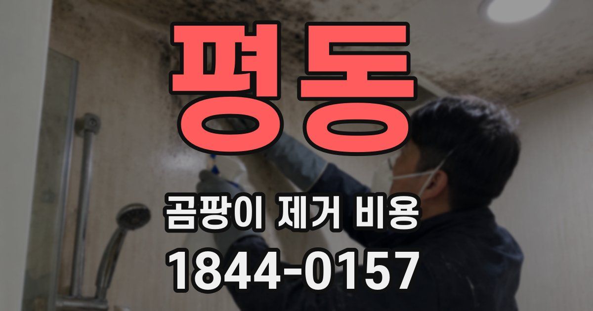 평동 곰팡이 제거 비용