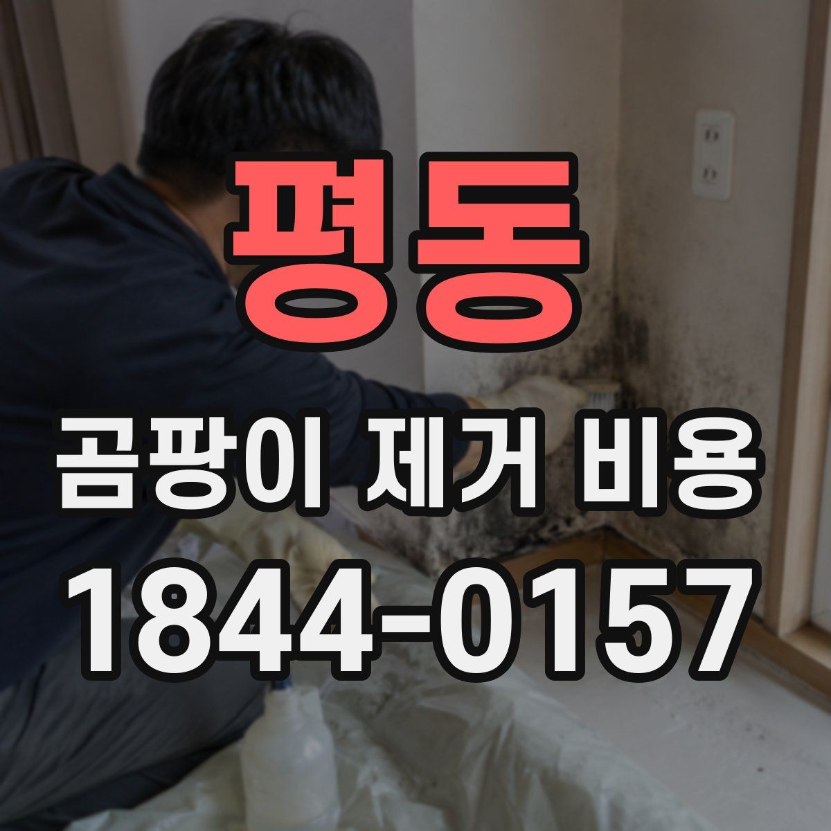 평동 곰팡이 제거 비용
