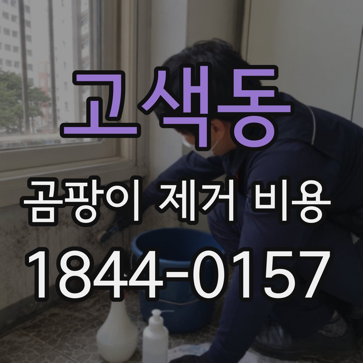 고색동 곰팡이 제거 비용