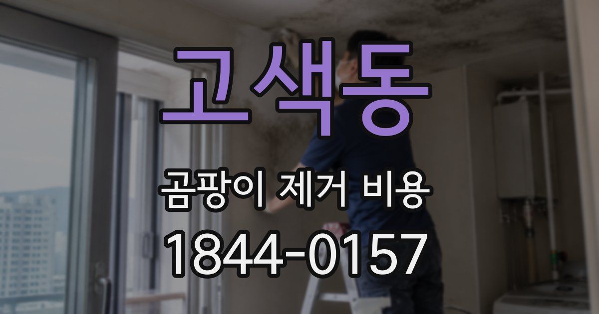고색동 곰팡이 제거 비용