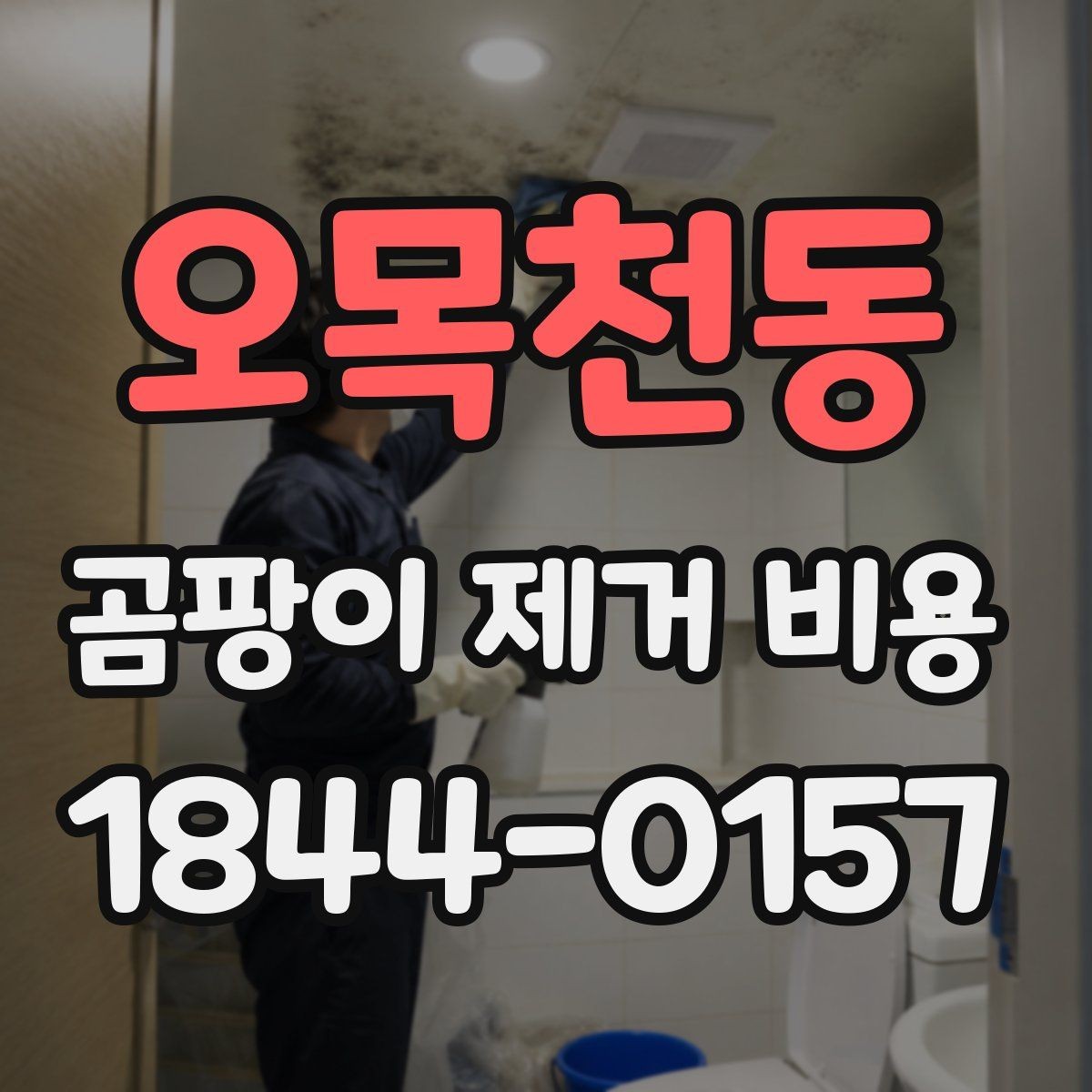 오목천동 곰팡이 제거 비용 가구 내부 오염이 있으면 어떻게 달라질까