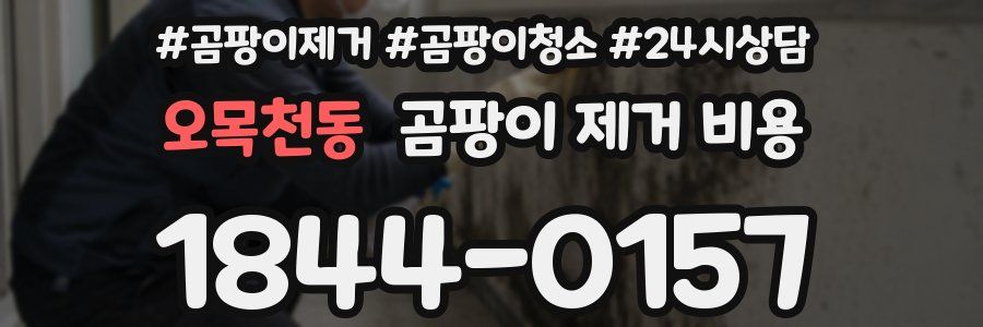 오목천동 곰팡이 제거 비용