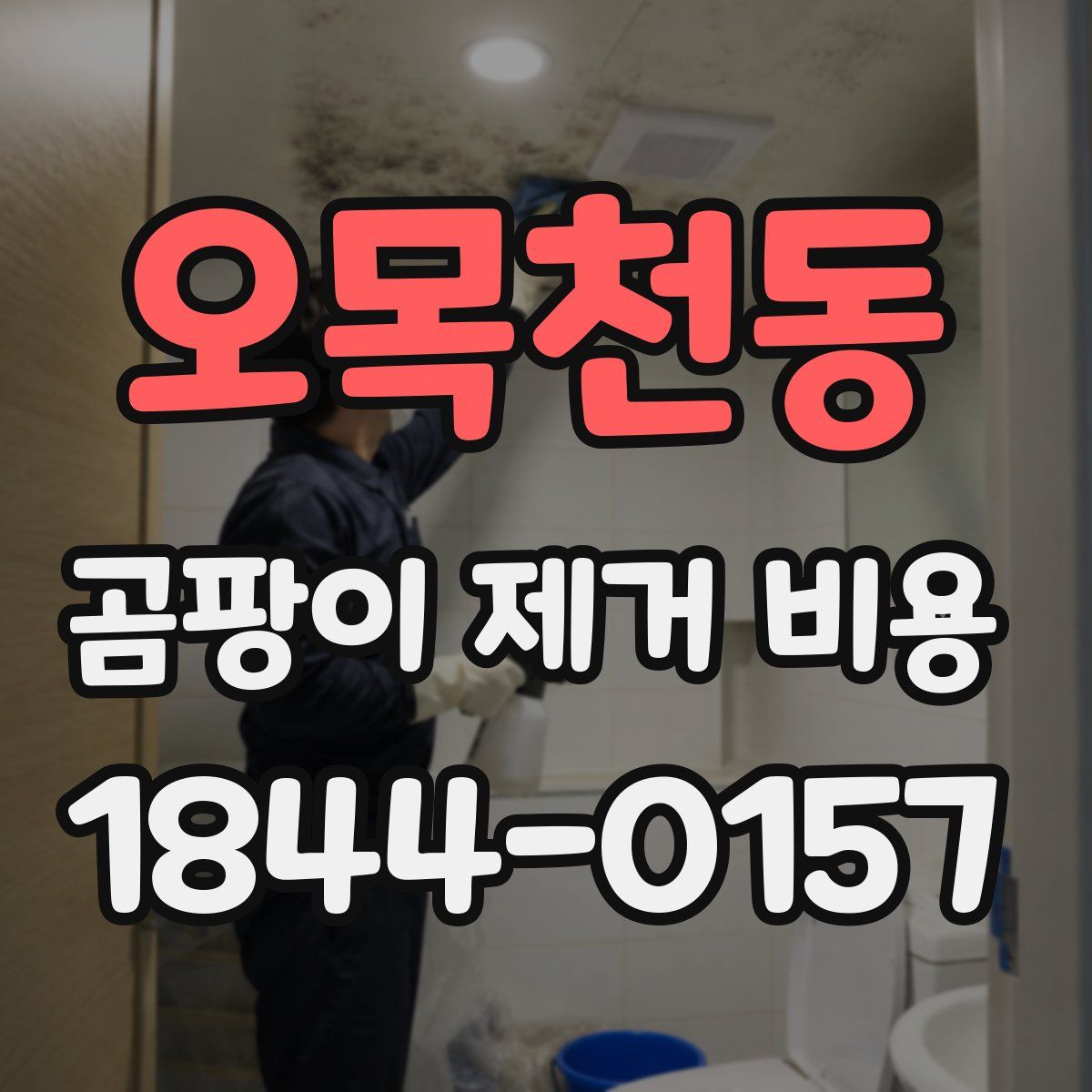 오목천동 곰팡이 제거 비용