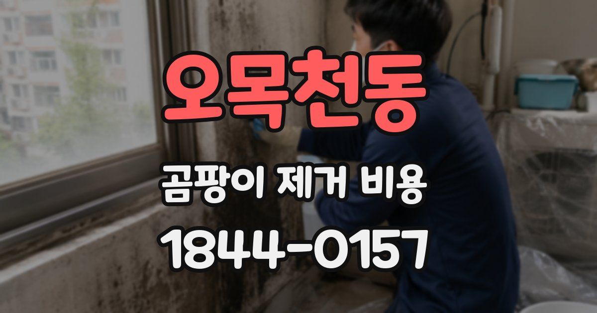 오목천동 곰팡이 제거 비용