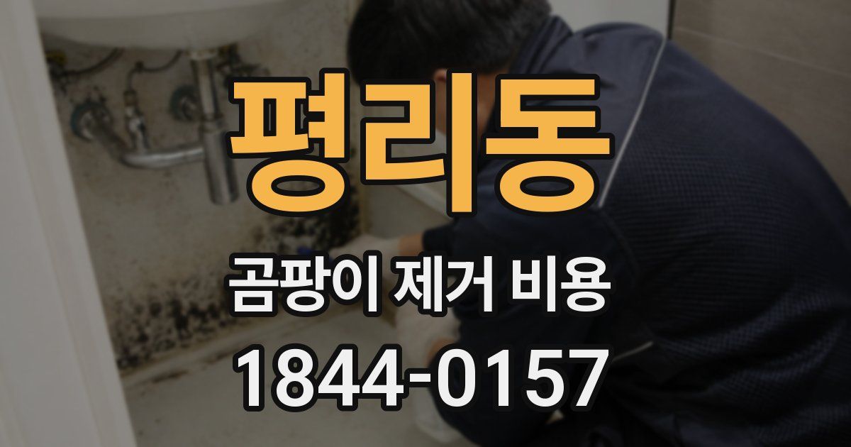 평리동 곰팡이 제거 비용