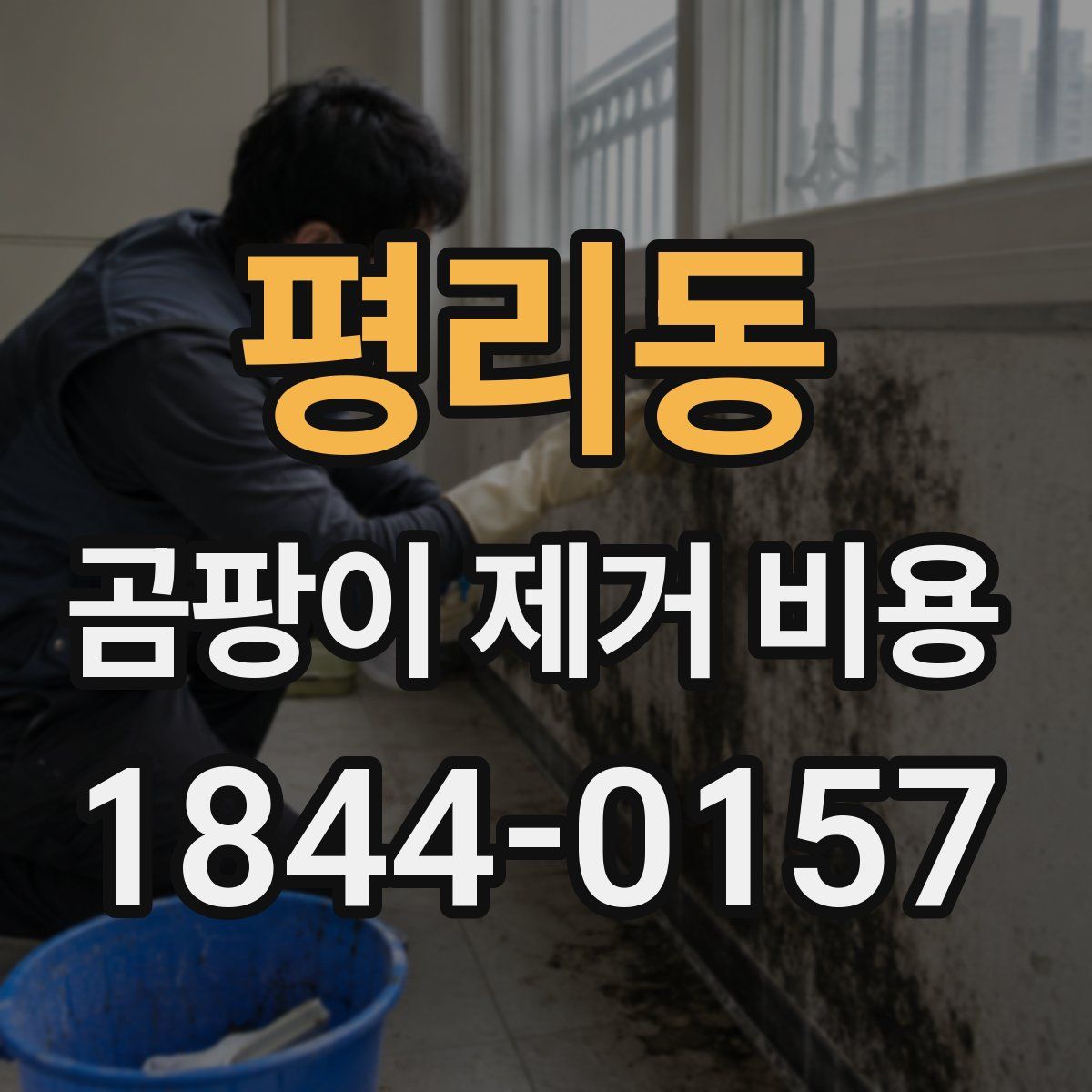 평리동 곰팡이 제거 비용