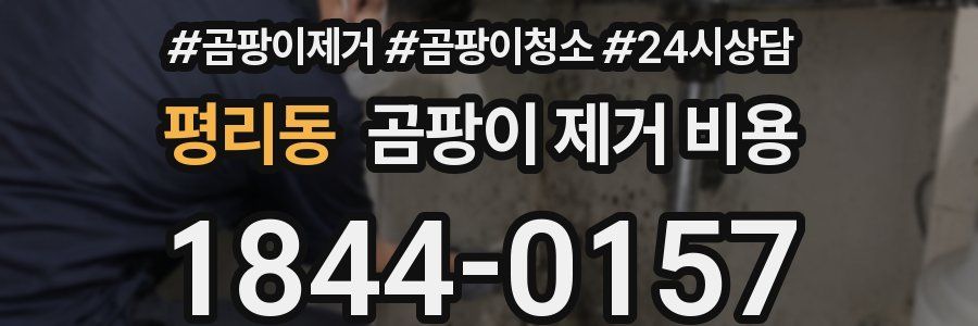 평리동 곰팡이 제거 비용